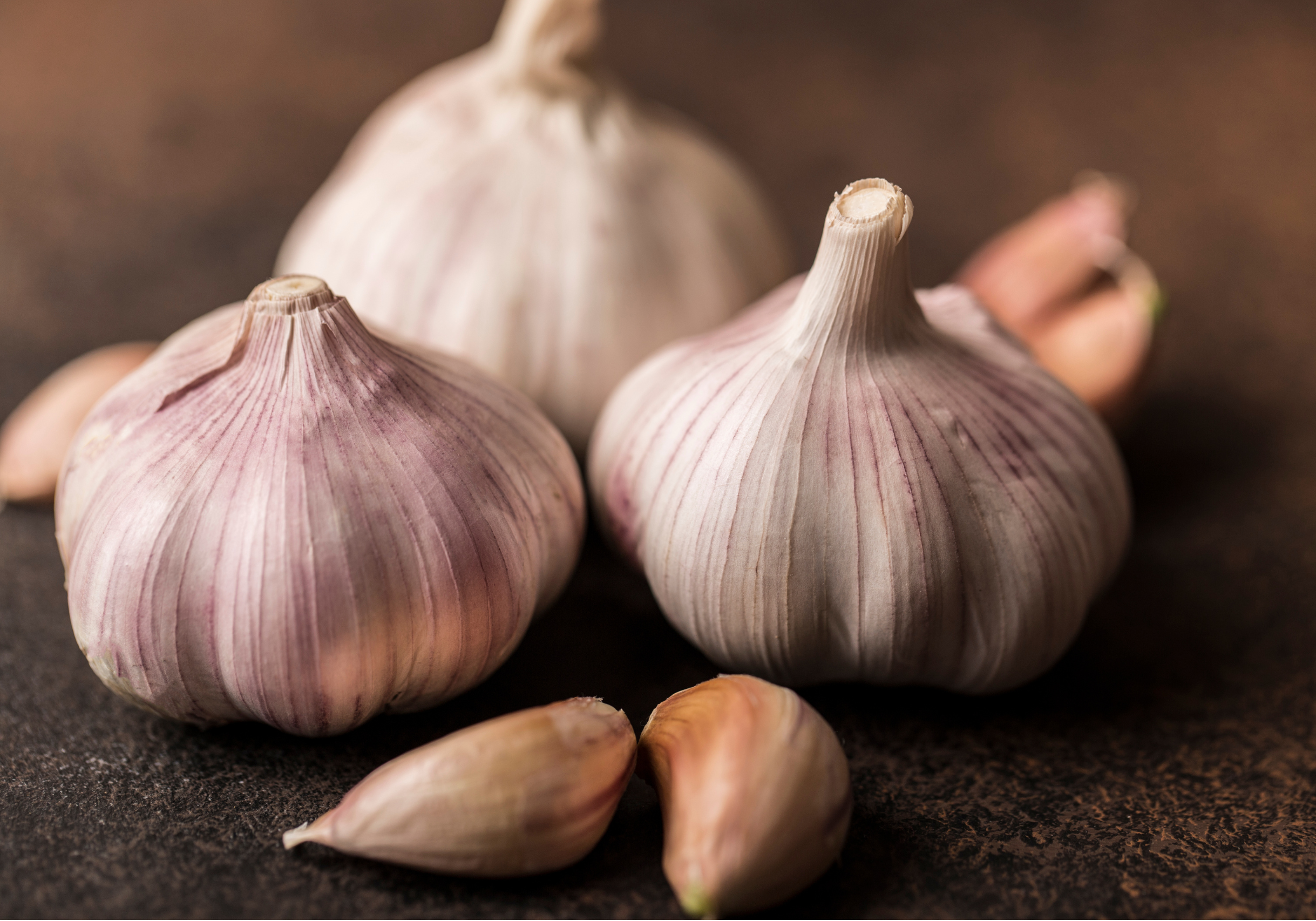 Southern Seed Garlic