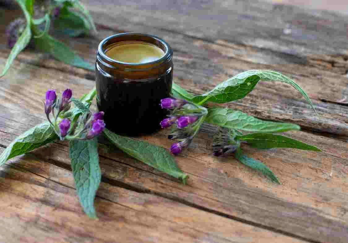 How to Make Comfrey Salve