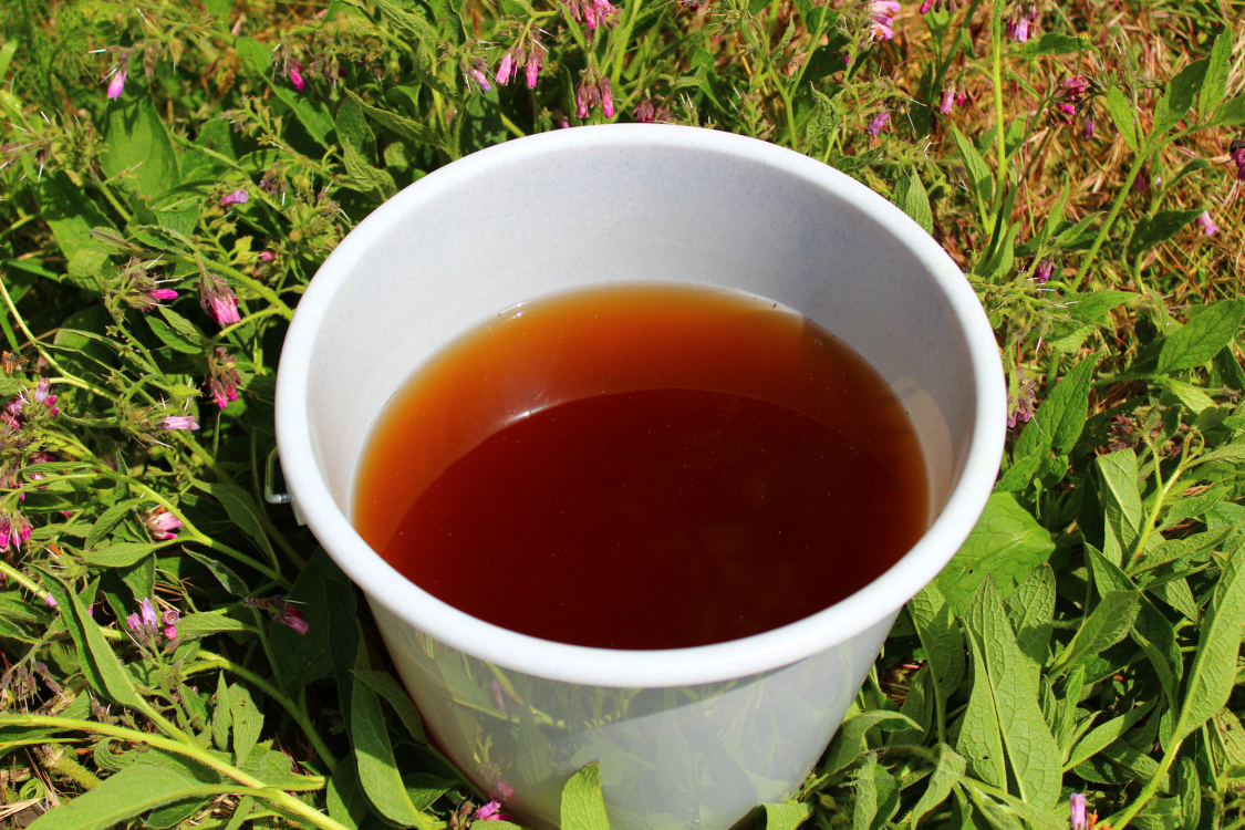 How to Make Natural Liquid Fertilizer with Comfrey