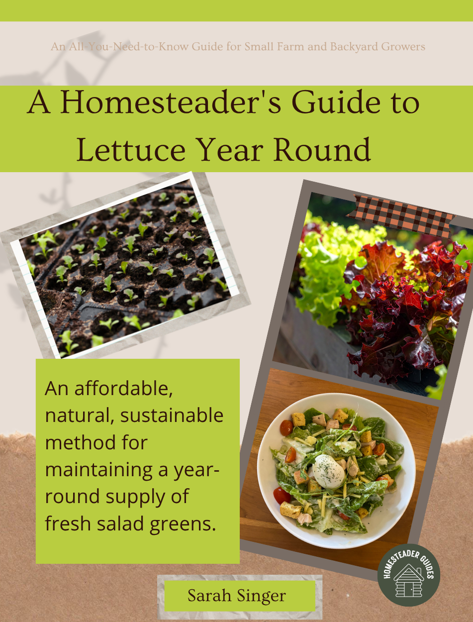 Homesteader's Guide to Lettuce.png