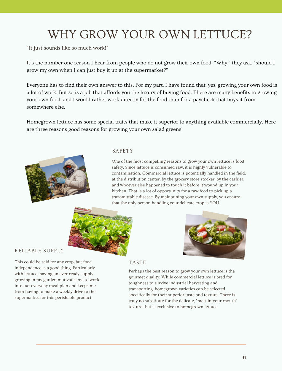 Homesteader's Guide to Lettuce(3).png