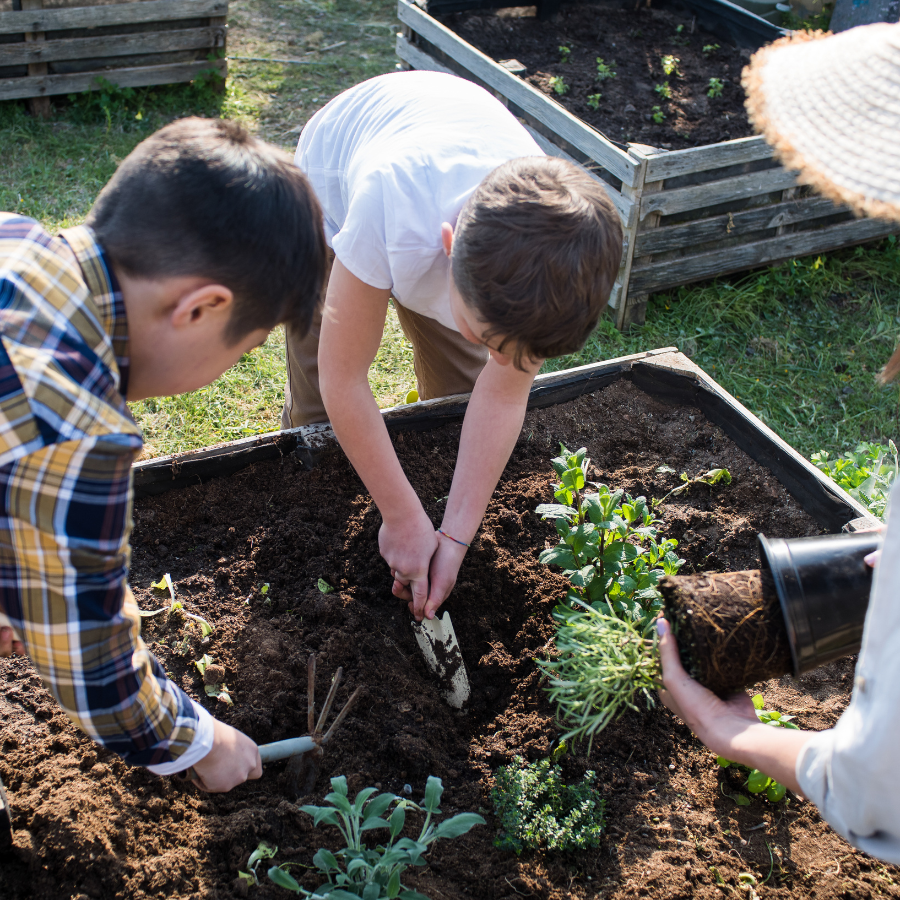 Farm Classes Farm Classes — Southern Seed Garlic