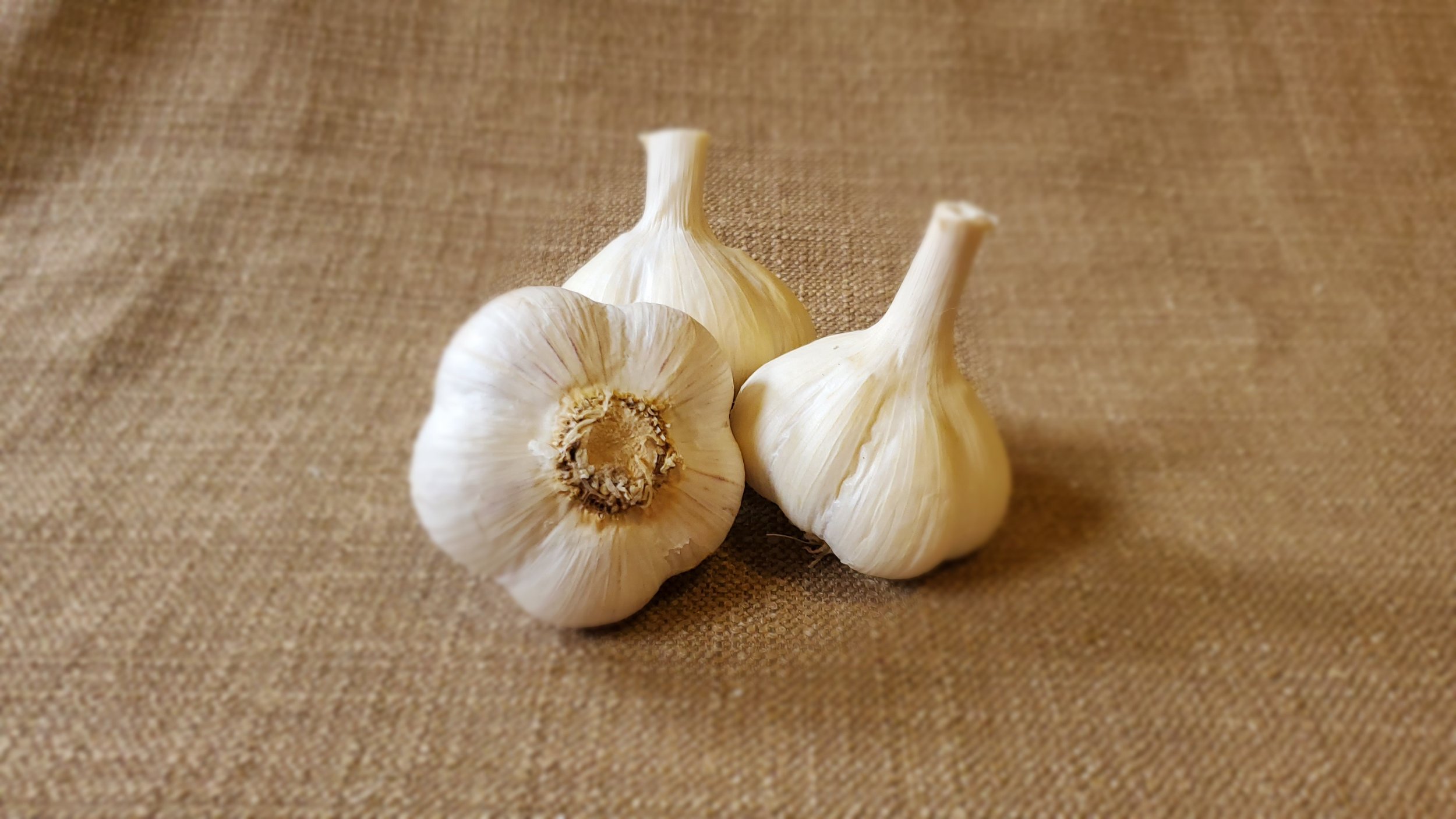 NEW: German Porcelain