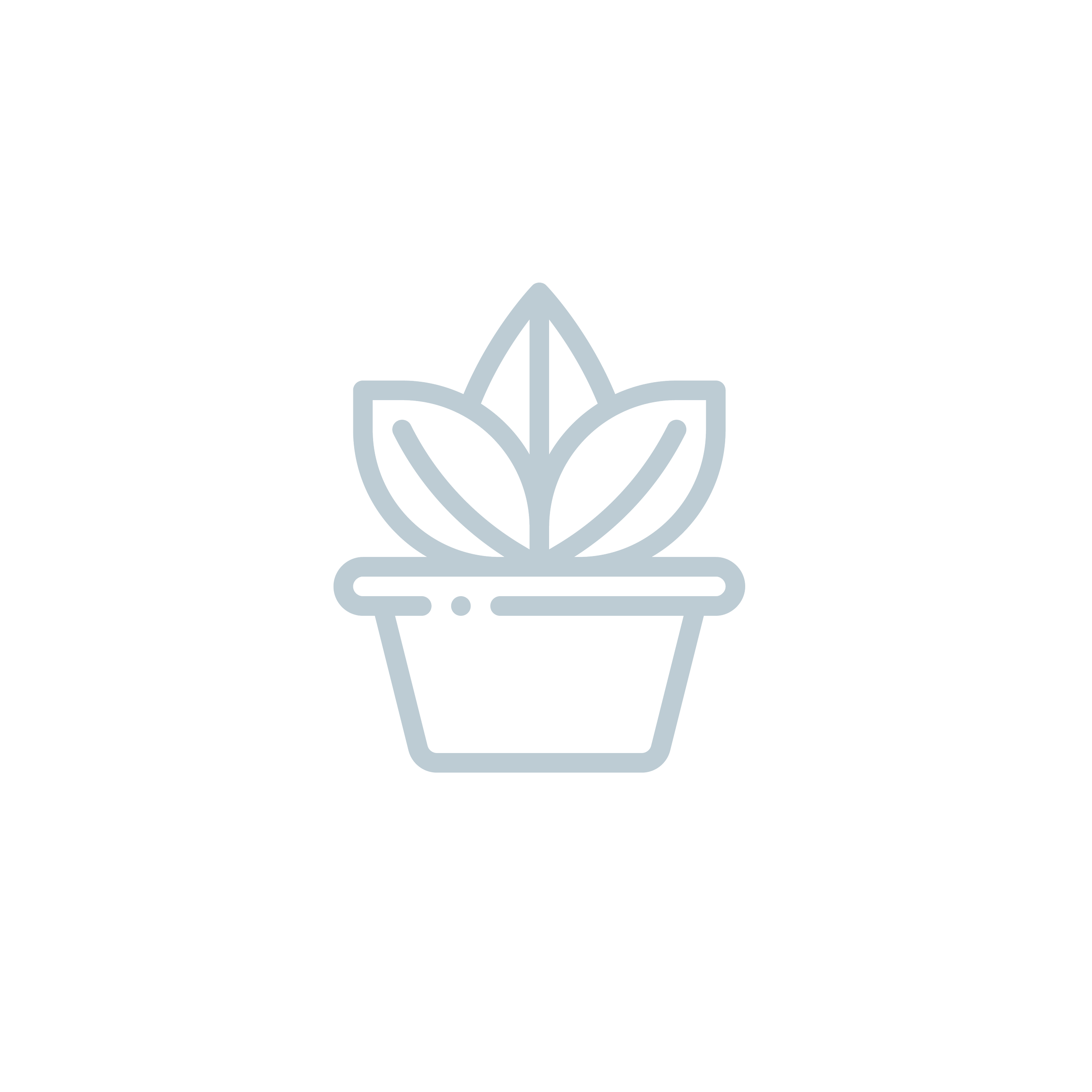 A plant that has been potted but is continuing to grow