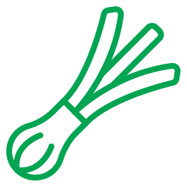 Green onion or scallion