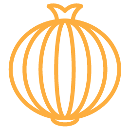 Gold or yellow onion