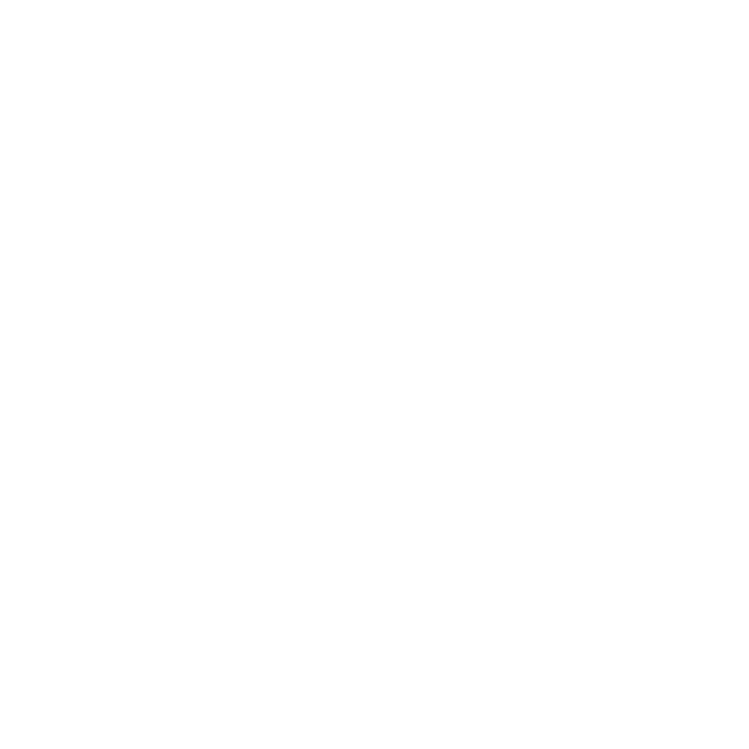 Onion rings representing our five core values.