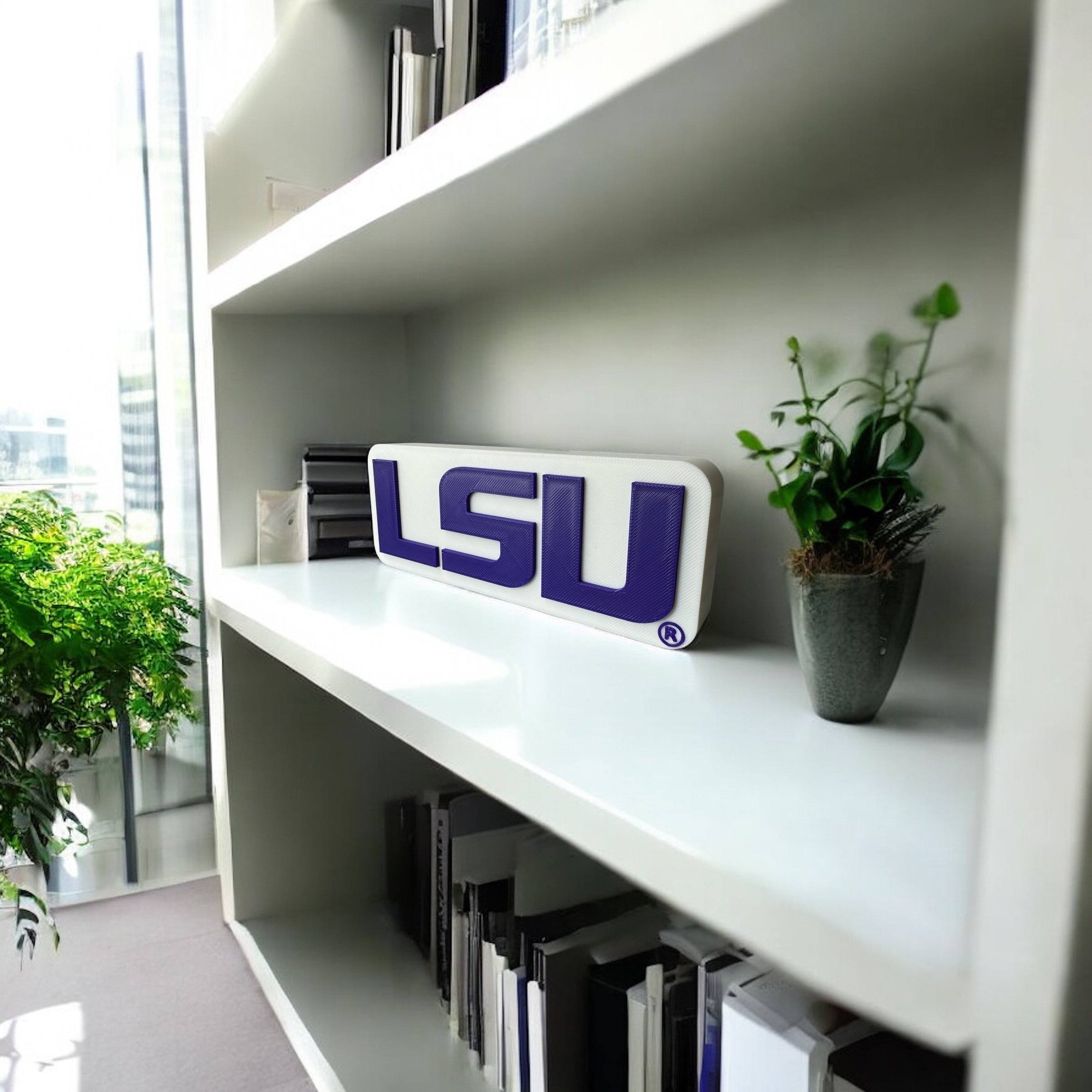 LSU LEFT.jpeg