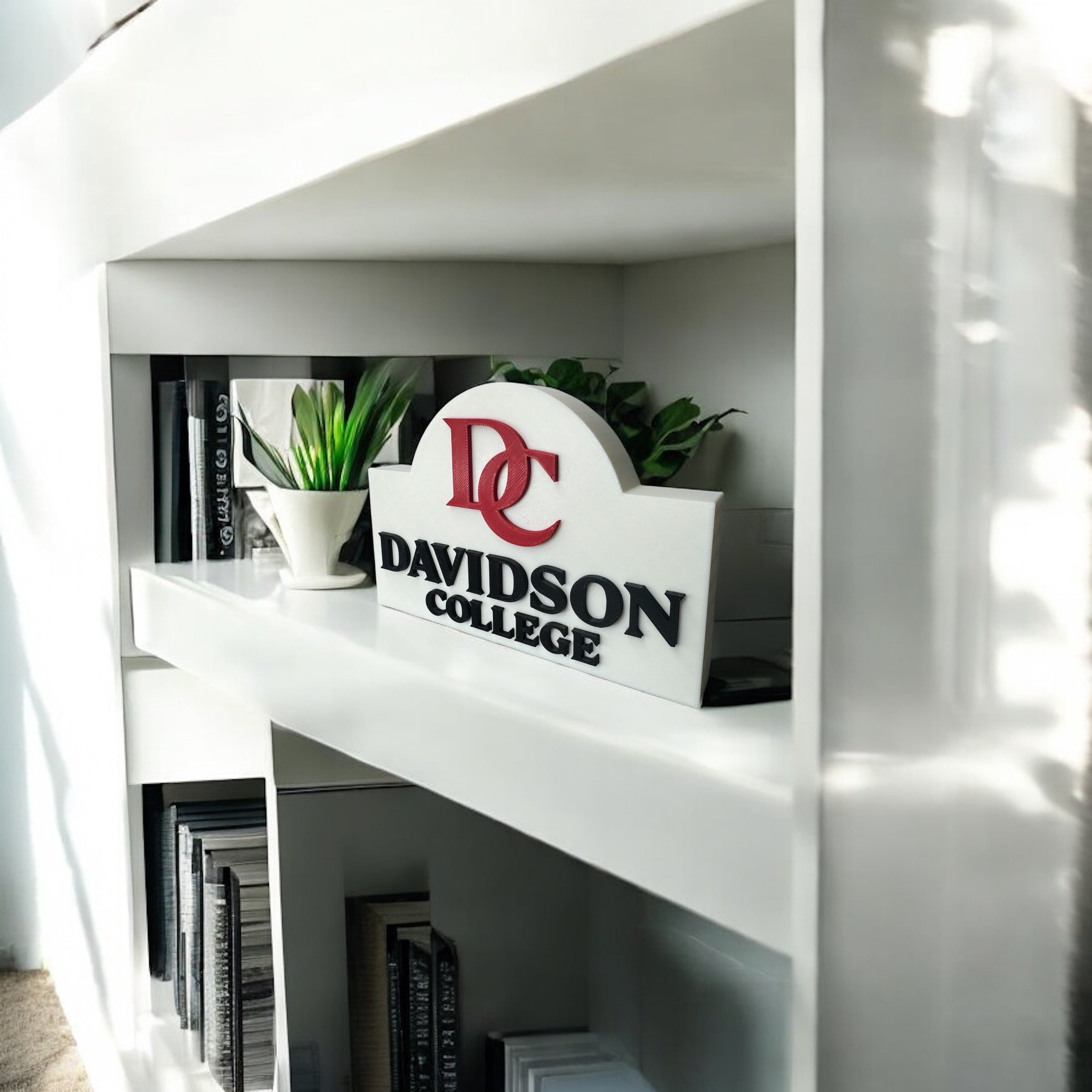 DAVIDSON LEFT.jpeg