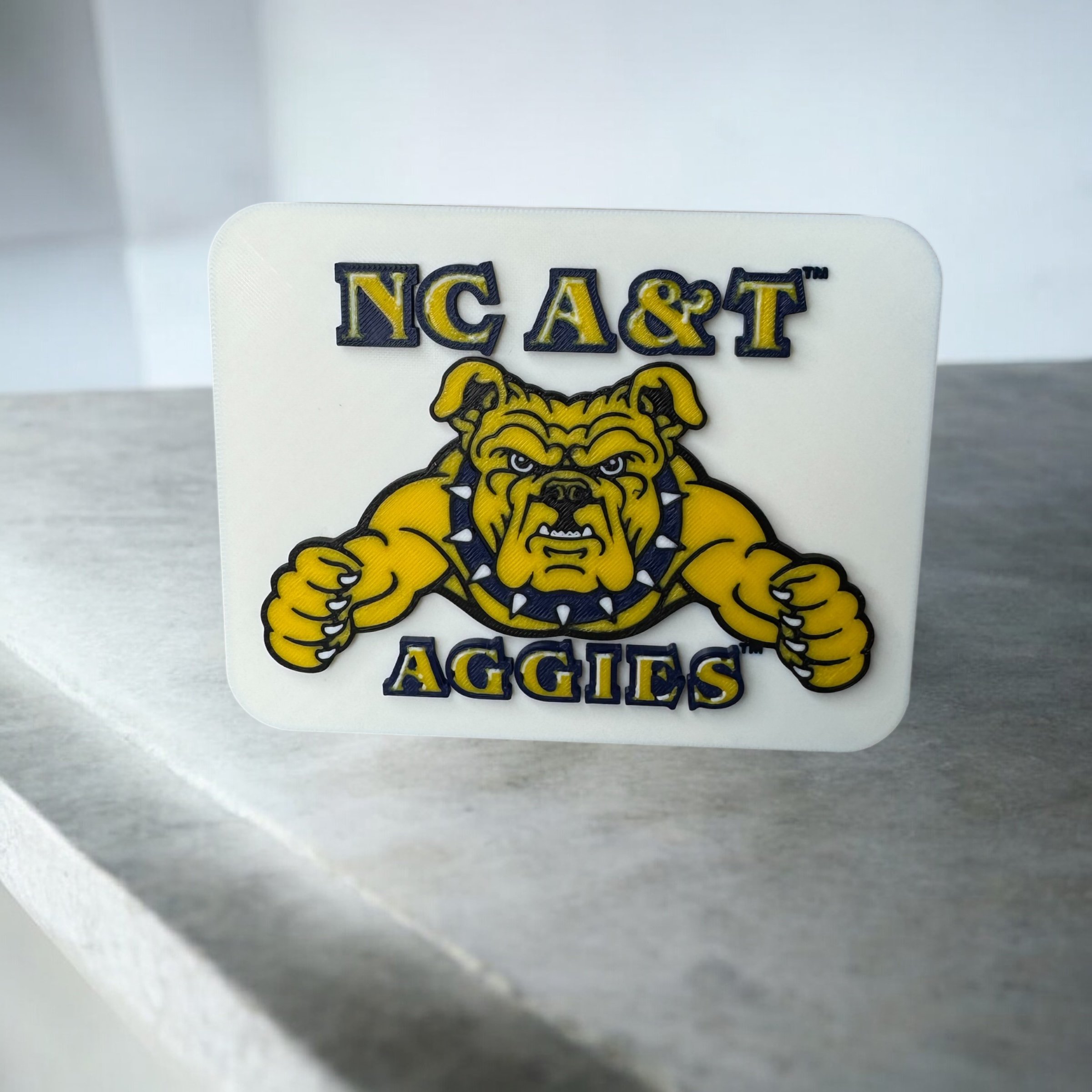 NC A&T FRONT.jpeg