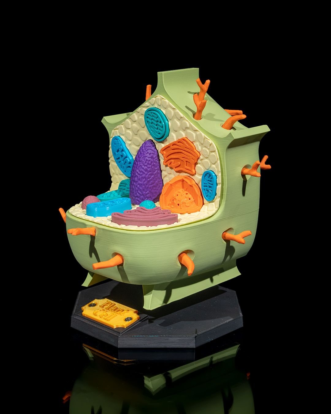 Plant_Cell_2_56e25d875f.jpg