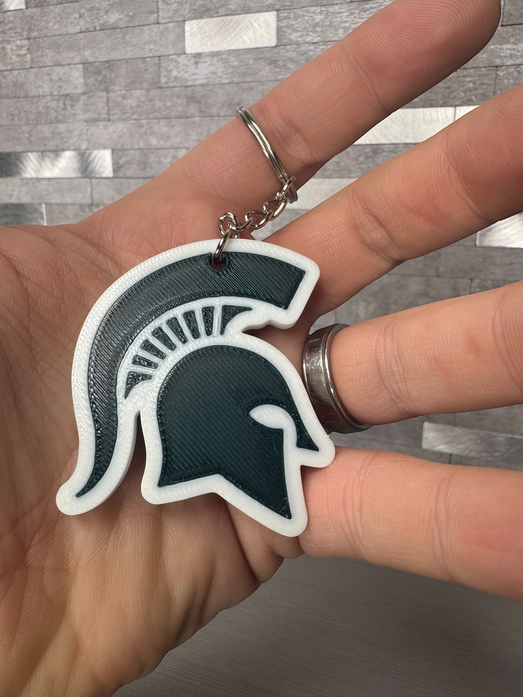 MICHIGAN STATE KEY MODELED.jpeg