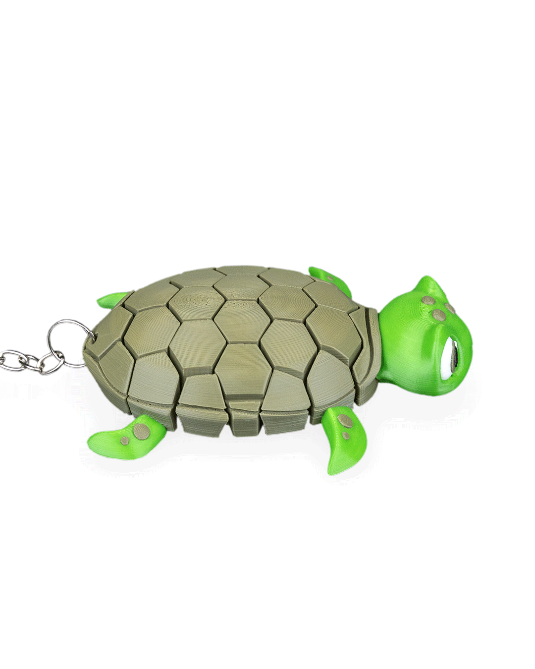 Myrtle_the_Turtle_WB_4_bd93699c82.png