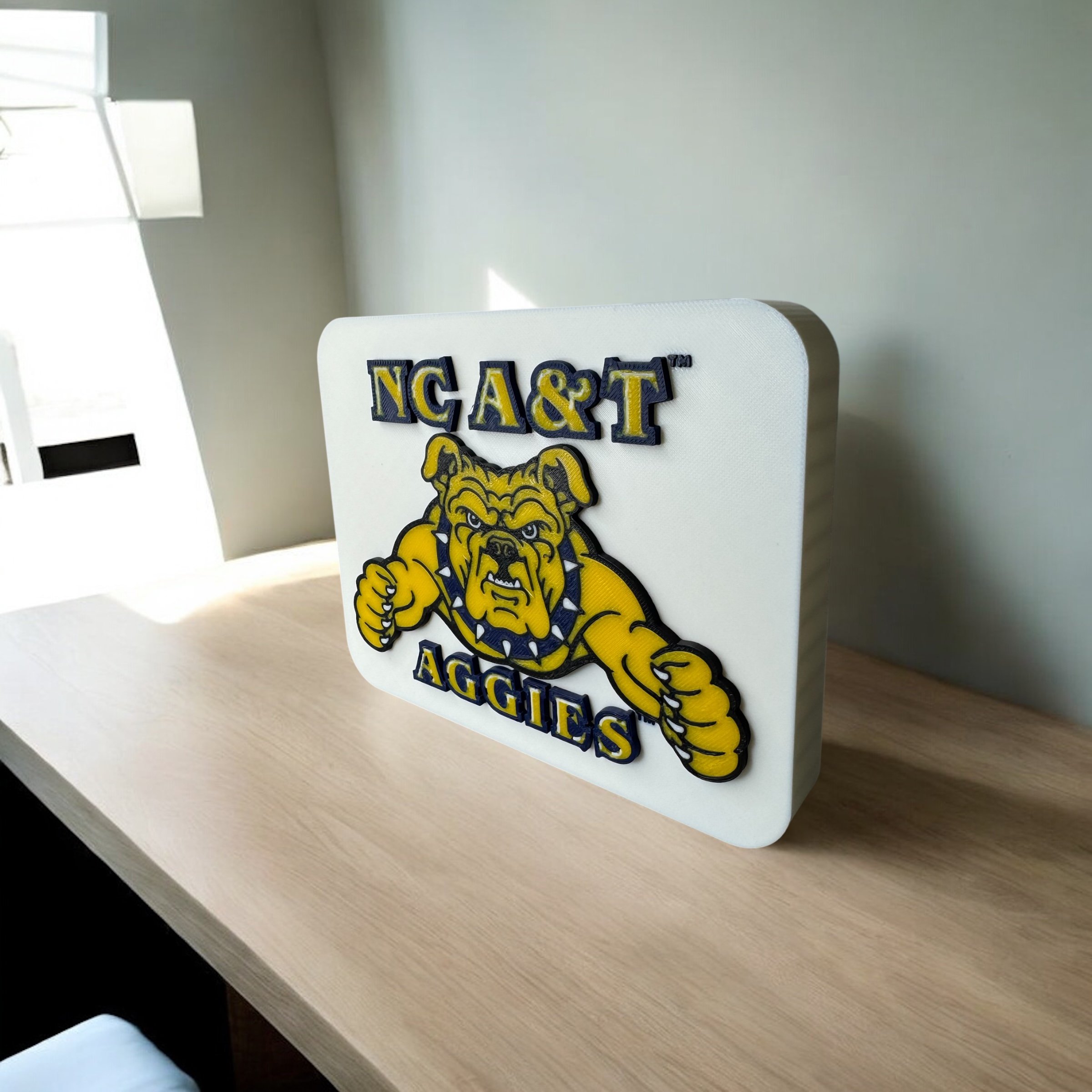 NC A&T LEFT.jpeg