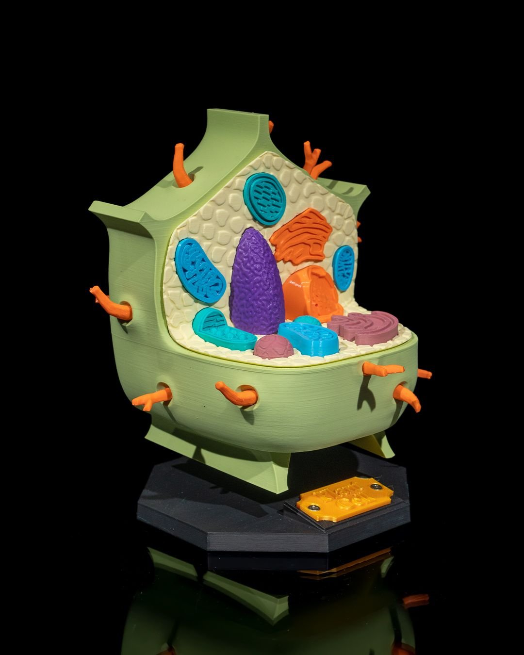 Plant_Cell_3_50d12a2865.jpg