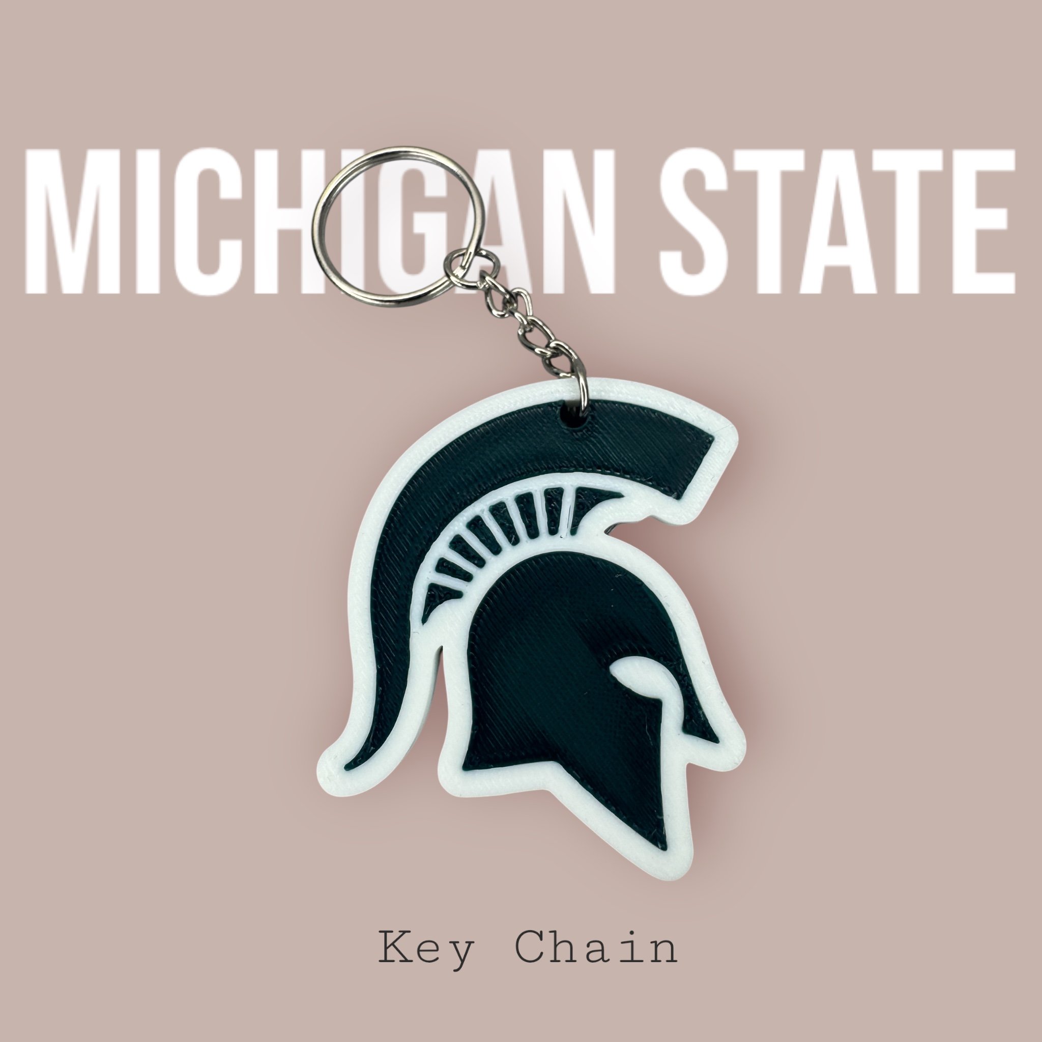 MICHIGAN STATE KEY GRAPHIC.jpeg