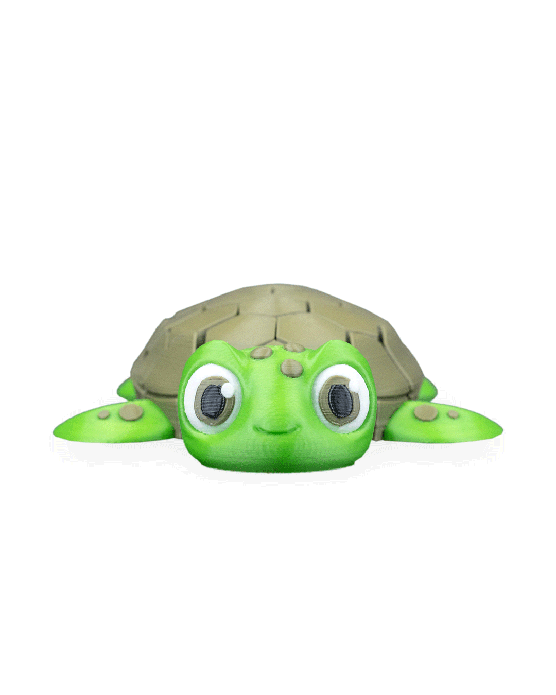 Myrtle_the_Turtle_WB_3_9d8fd8b8a9.png