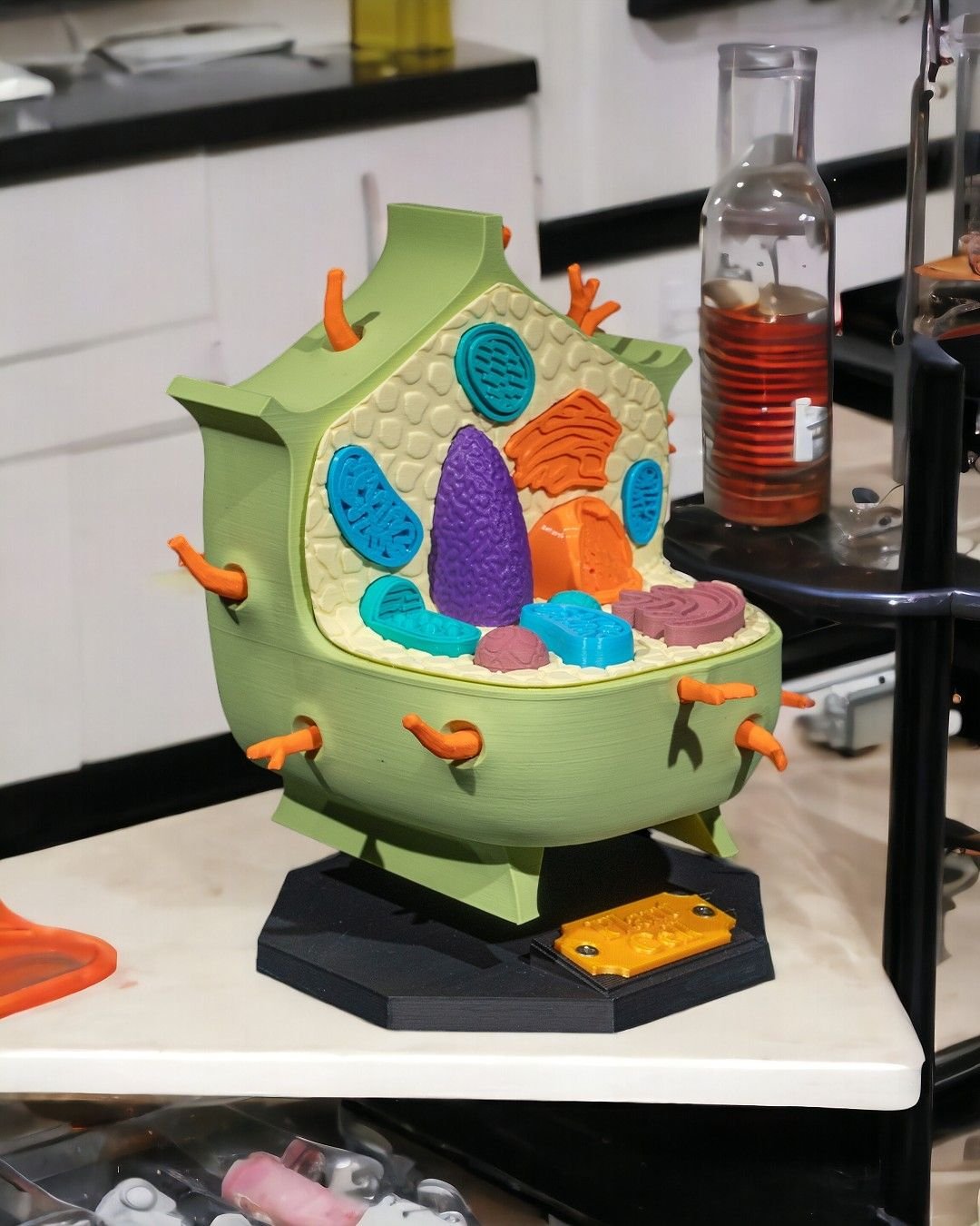 Plant_Cell_3_Photoroom_f4824116a1.jpg