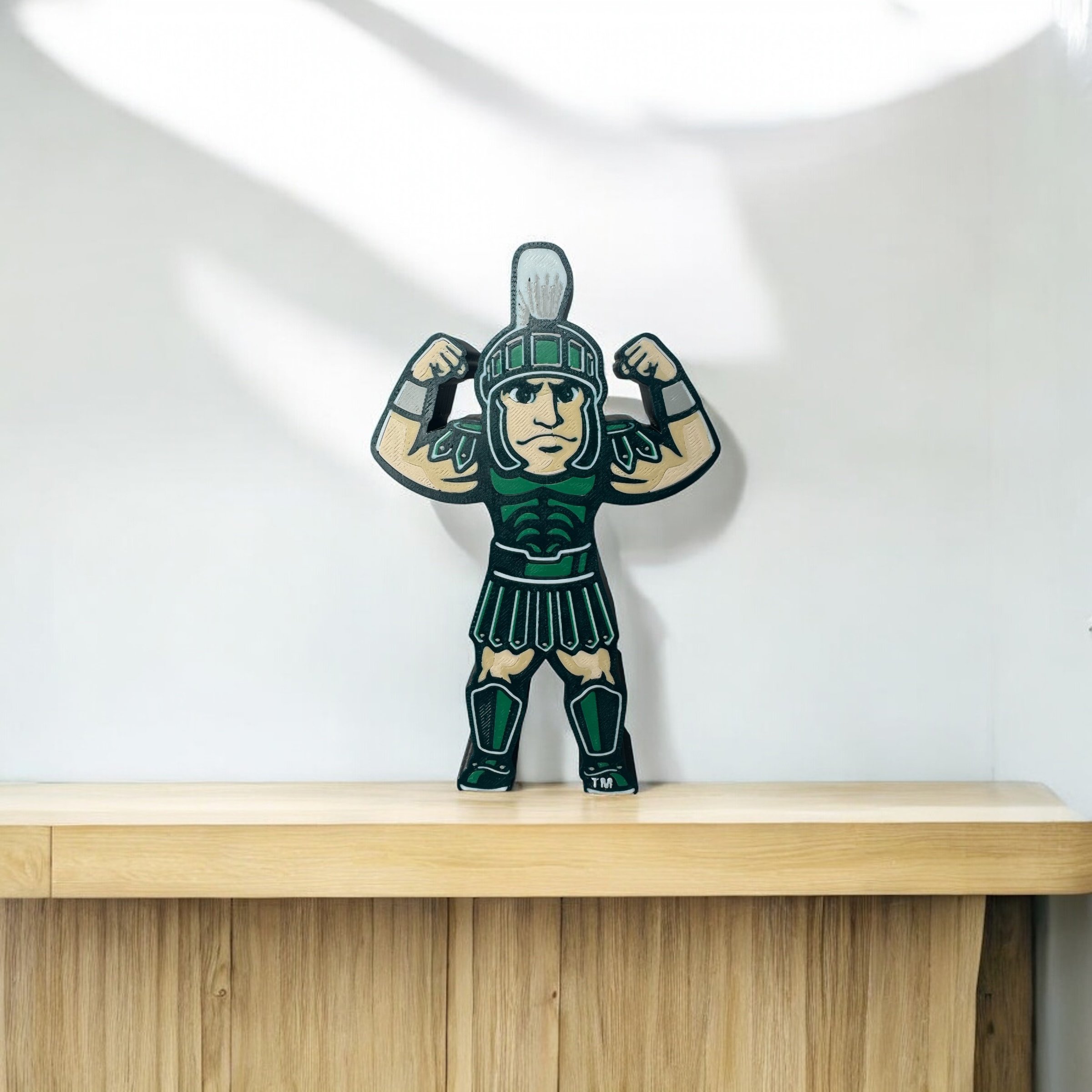 MICHIGAN STATE SPARTY FRONT.jpeg