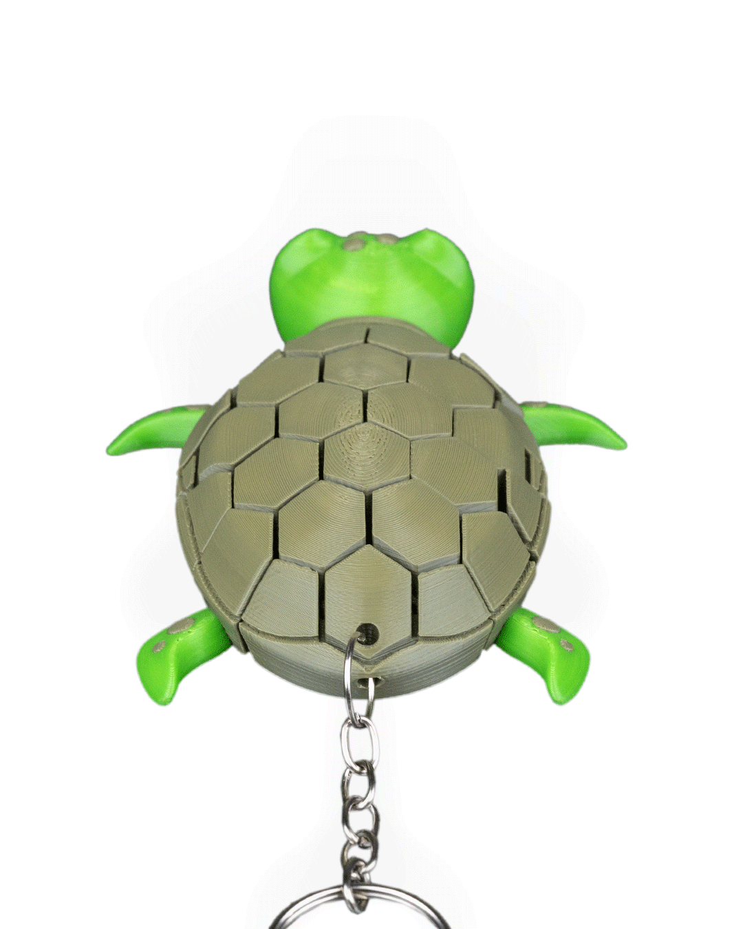 Myrtle_the_Turtle_WB_5_5251fc6caf.png