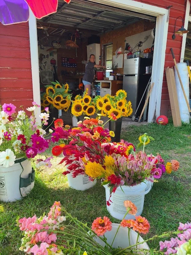 FLowers.jpg