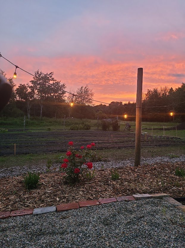 sunset.jpg