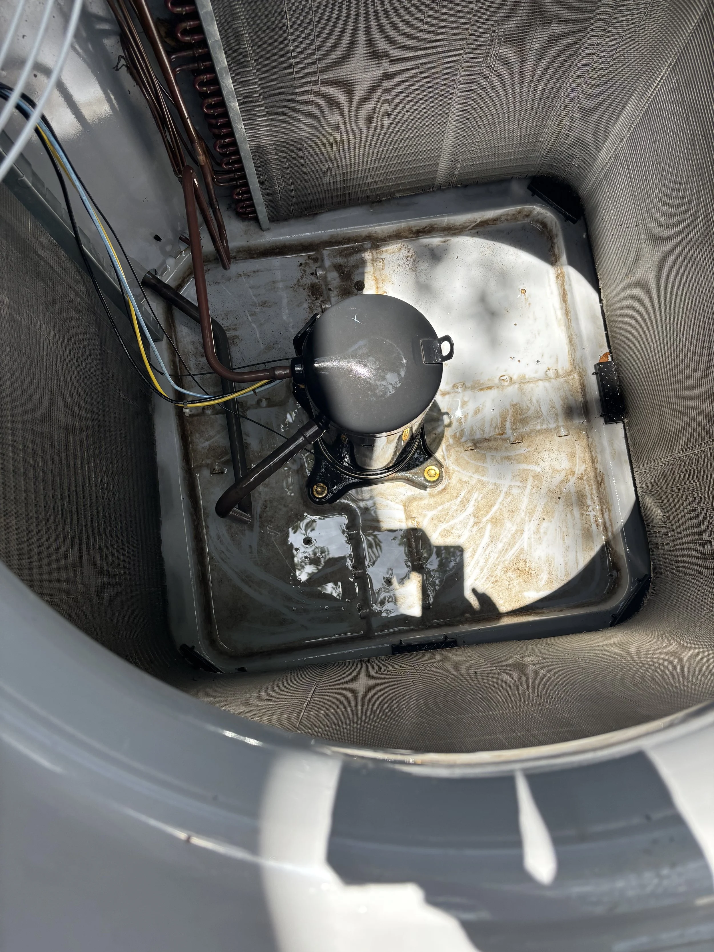 AC unit leaf removal is what keeps systems healthy!