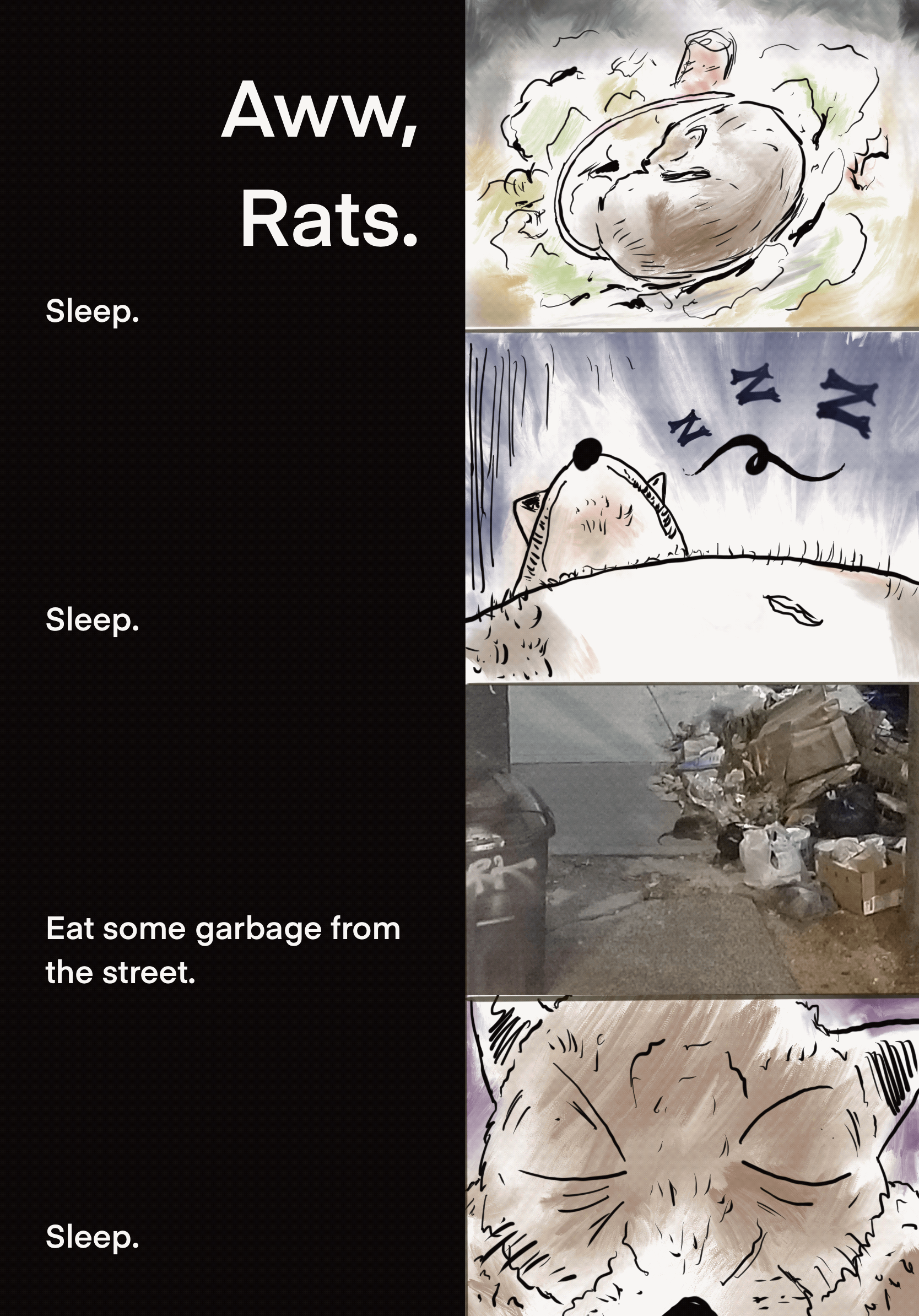 Rats_5.3.gif