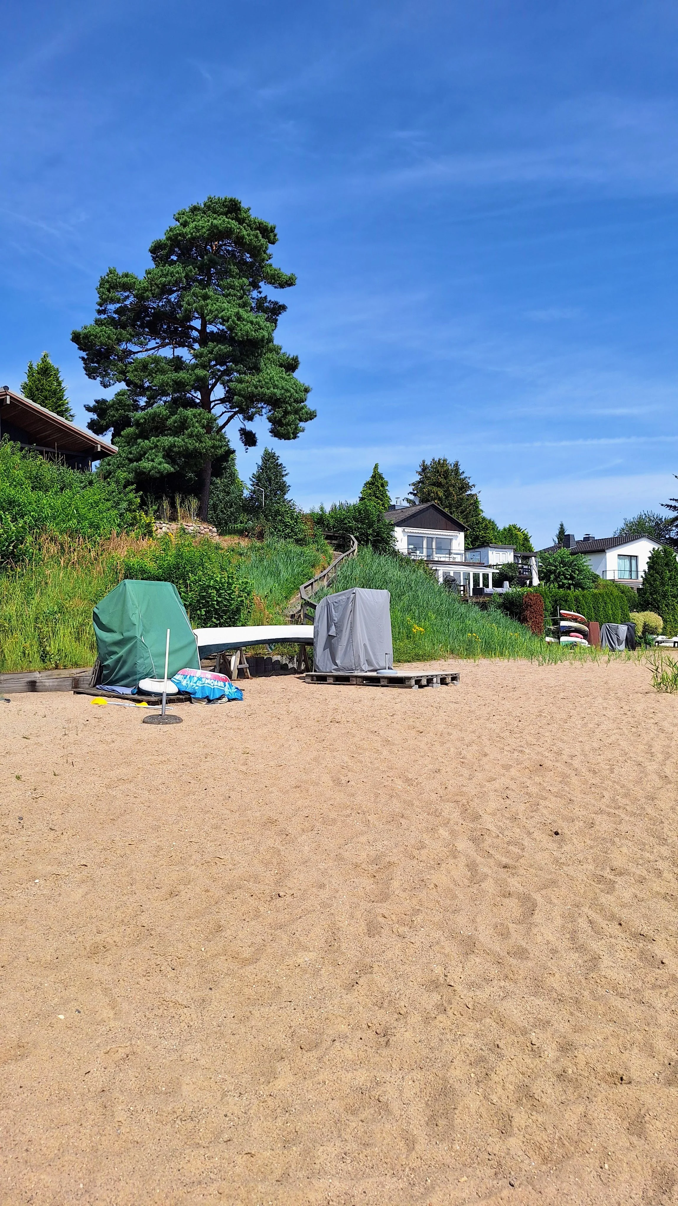 Ein sandiger Strand mit Liegestühlen, Sonnenschirmen und einem großen Baum im Hintergrund unter klarem blauen Himmel.