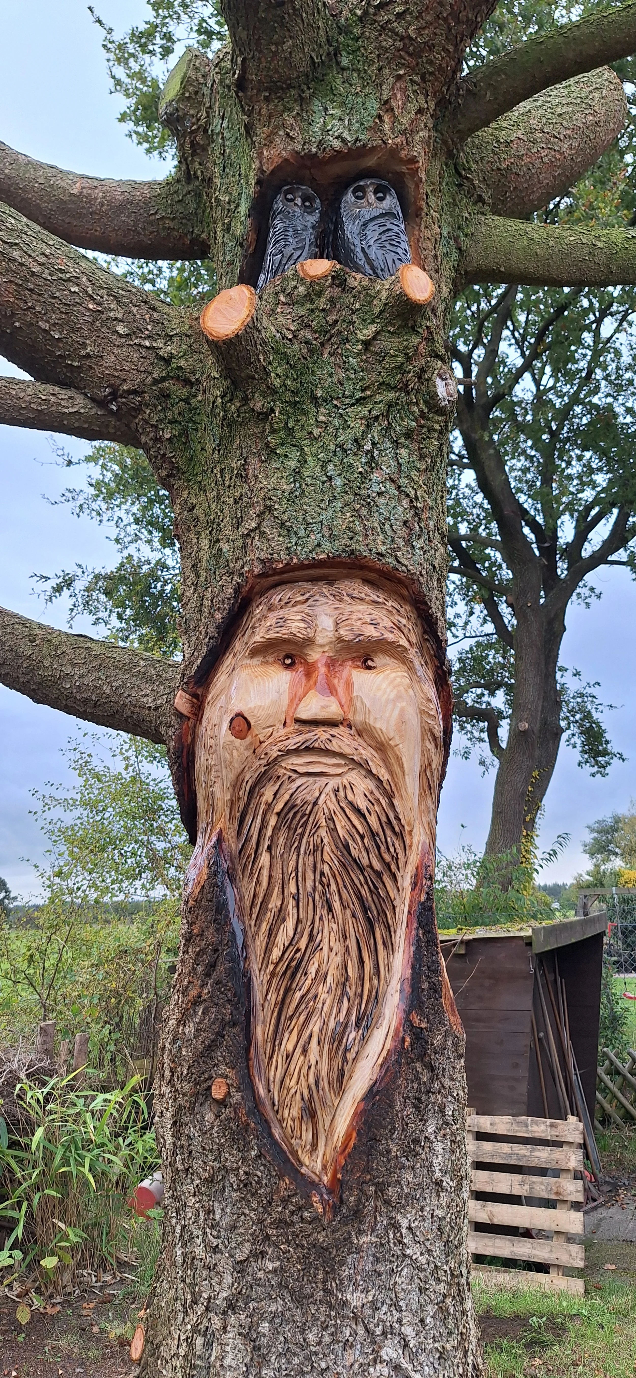 Das Bild zeigt einen Baum mit geschnitzten Holzfiguren. Oben im Baum ist eine Gesichtsmaske mit zwei Eulen, am unteren Ende ist ein geschnitztes Gesicht mit langem Bart und Stirn. Die Schnitzereien sind detailliert und kunstvoll ausgeführt.