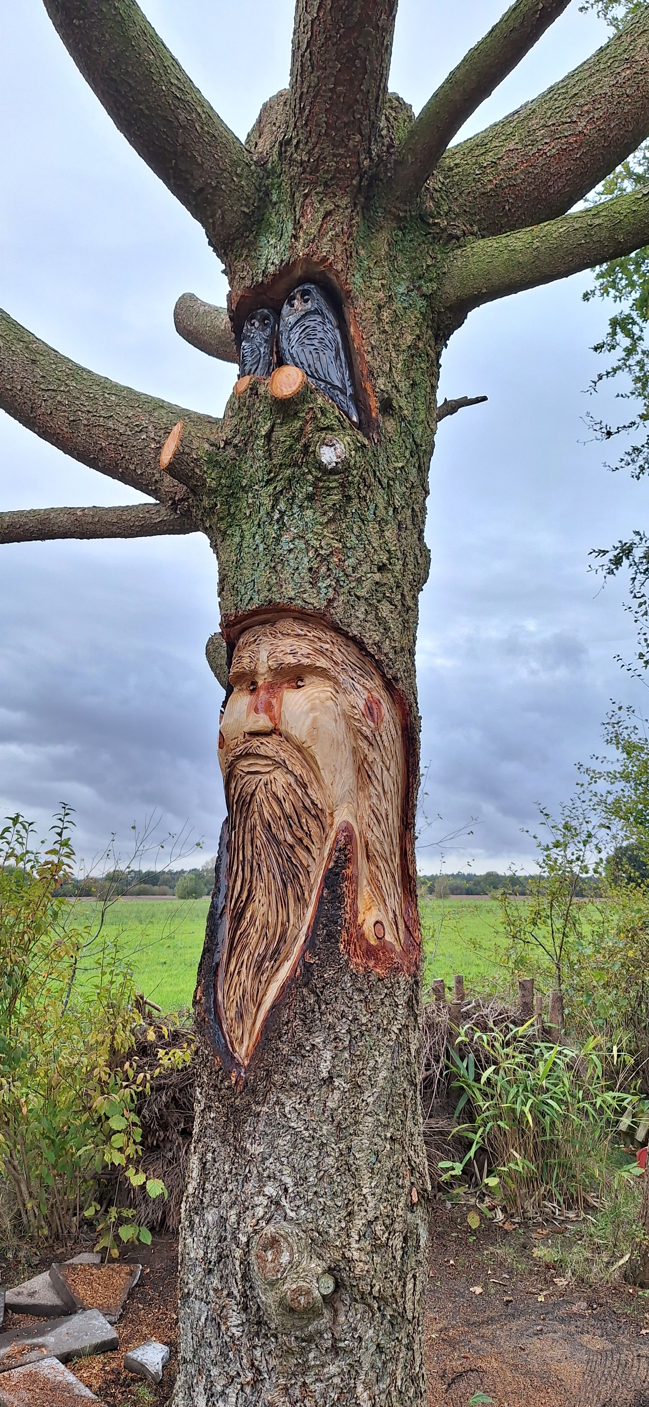 Ein Baum mit geschnitzten und bemalten Holzfiguren, die einen alten Mann mit Bart und zwei Uhu darstellen, im Freien vor einem bewölkten Himmel.