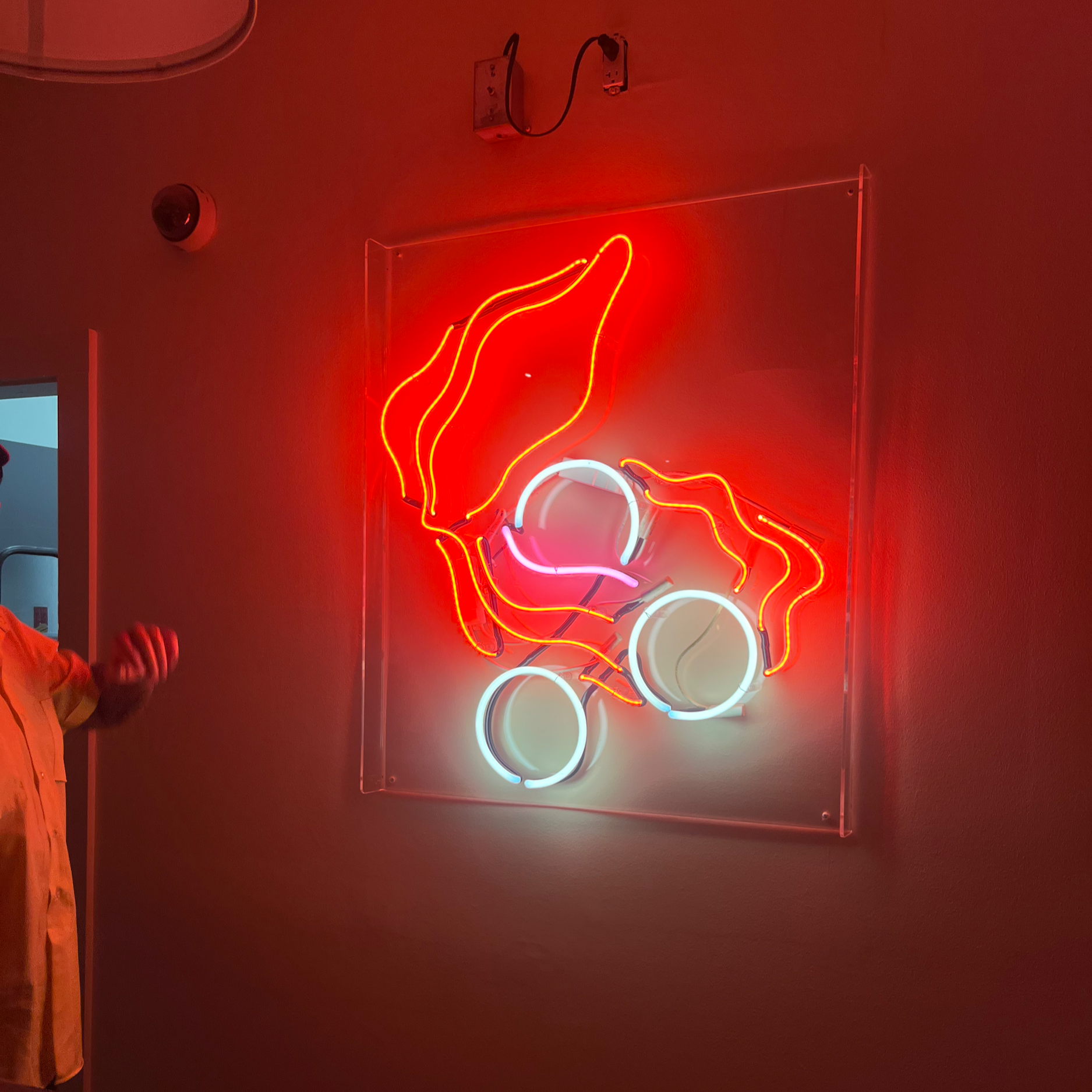 A glass neon sign of an oyster in red, orange, yellow, pink, and white colors mounted on a wall, with its wiring and electrical components visible above it.