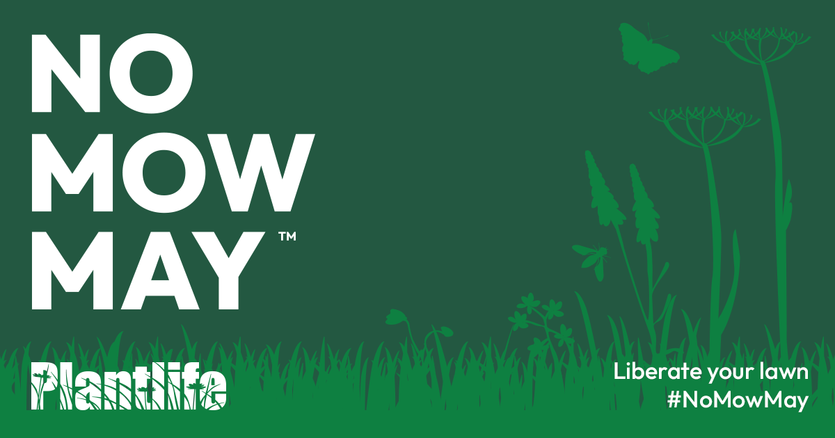 #NoMowMay