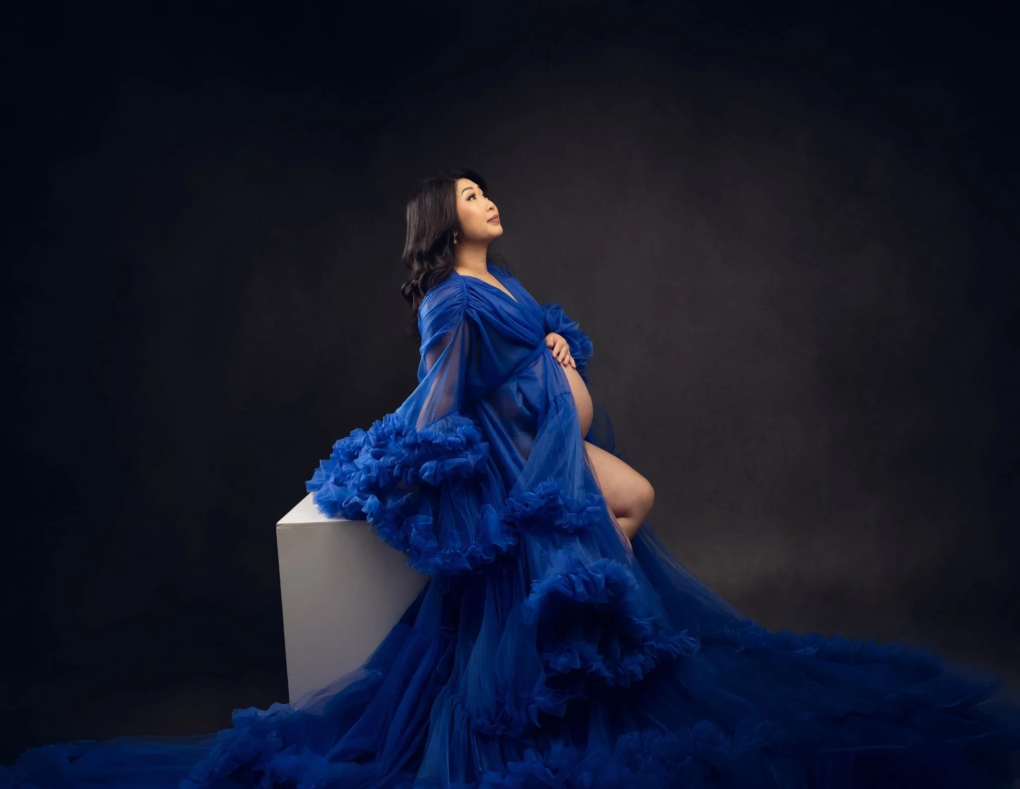 KH Royal Sapphire Blue Tulle Gown (XS-XL)