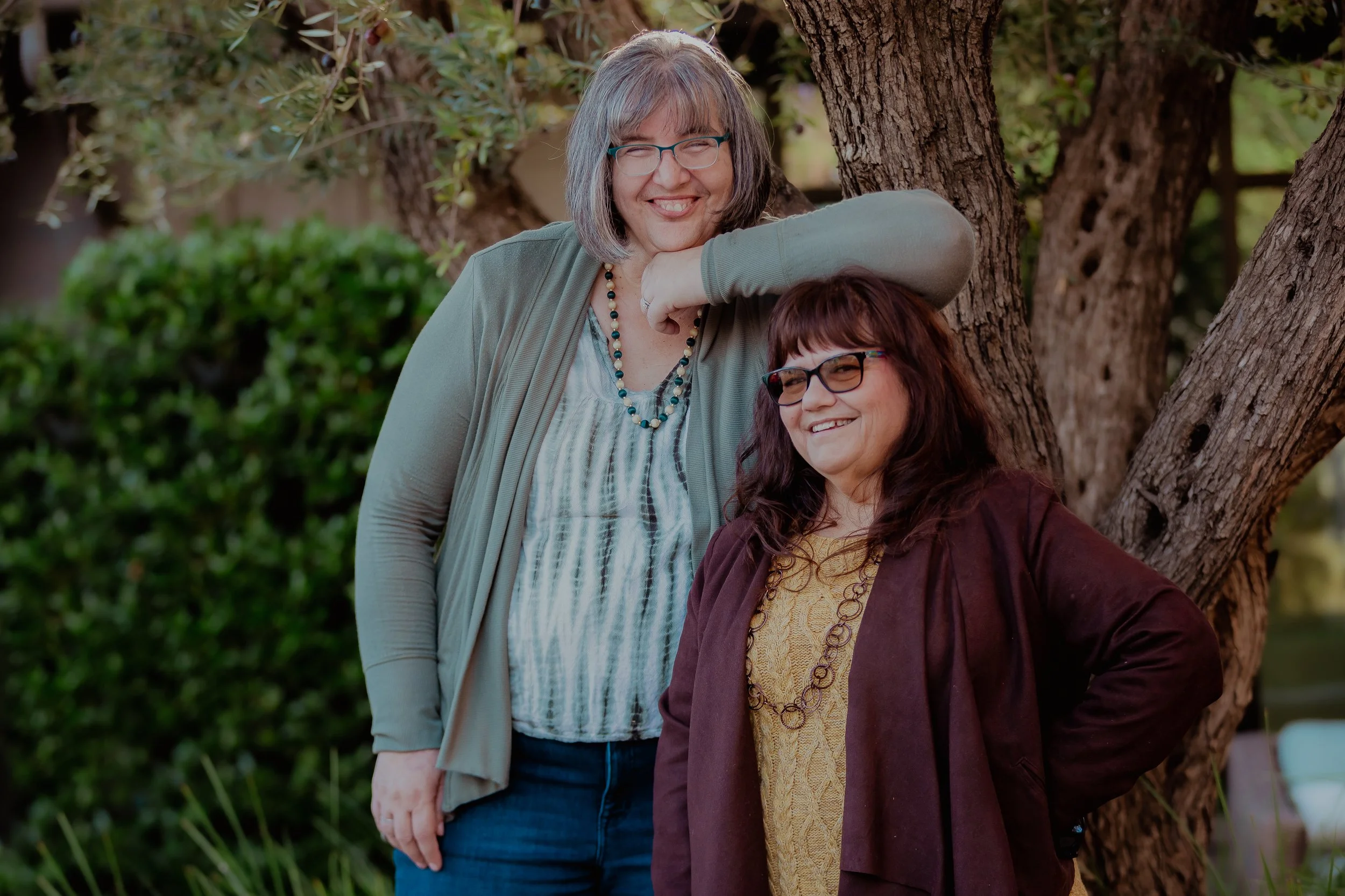 Olive Leaf Family Therapy