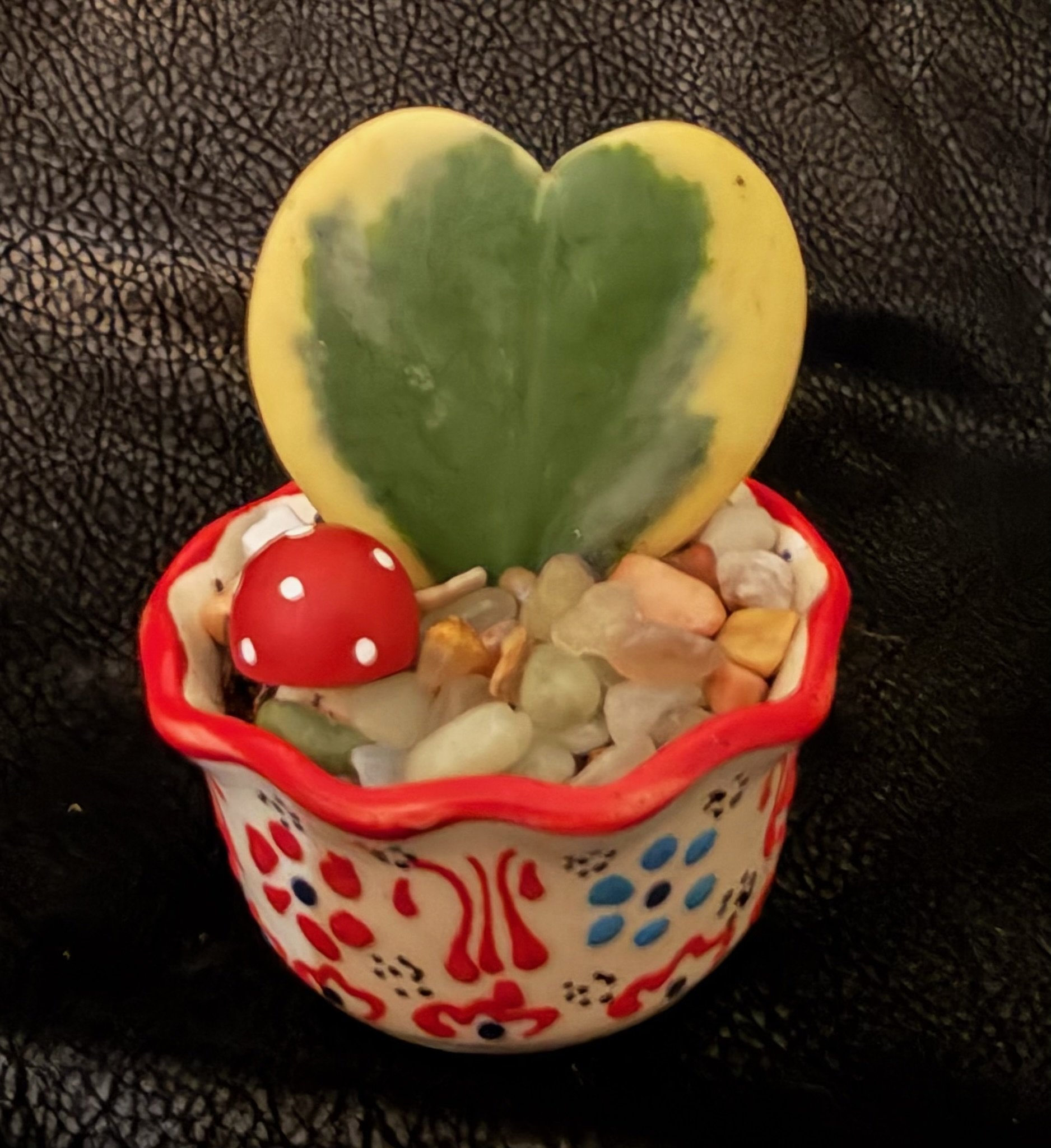 Buckheit-succulent11.jpeg