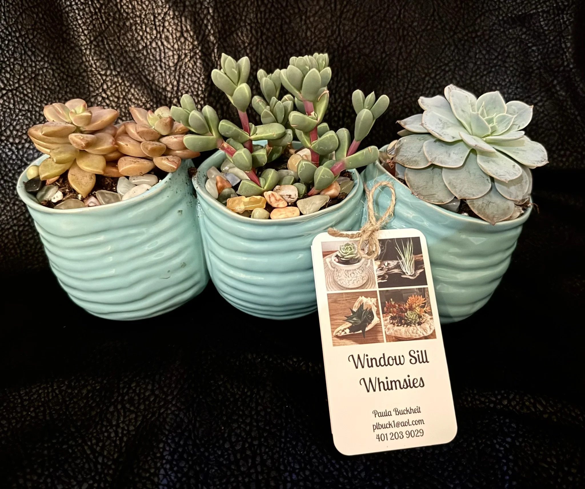 Buckheit-succulent8.jpeg