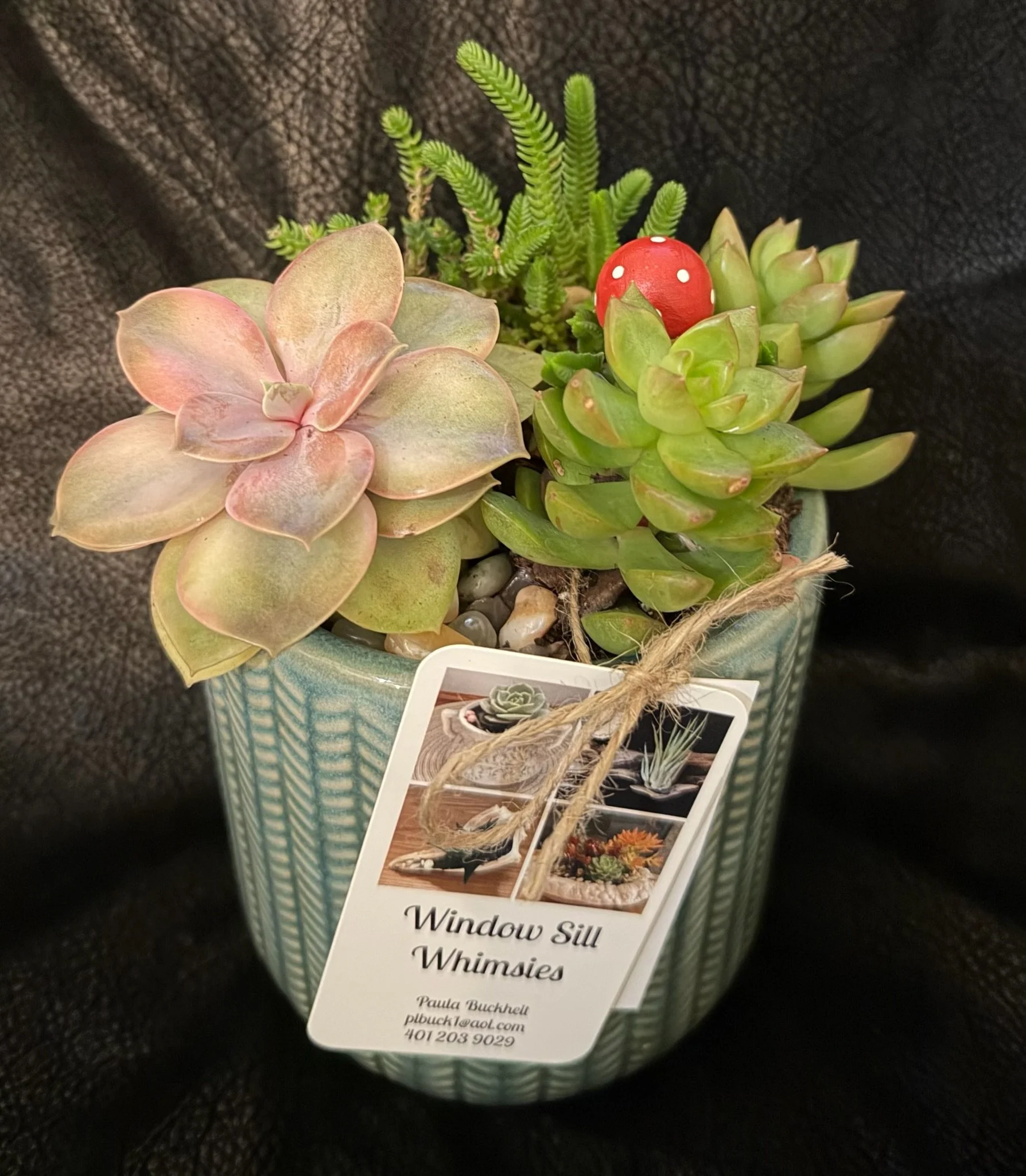 Buckheit-succulent9.jpeg