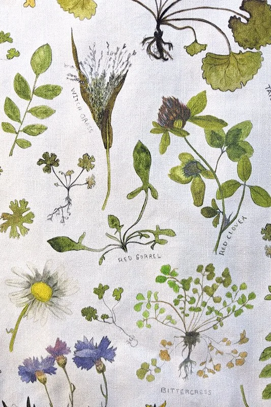 Oregon Weeds detail
