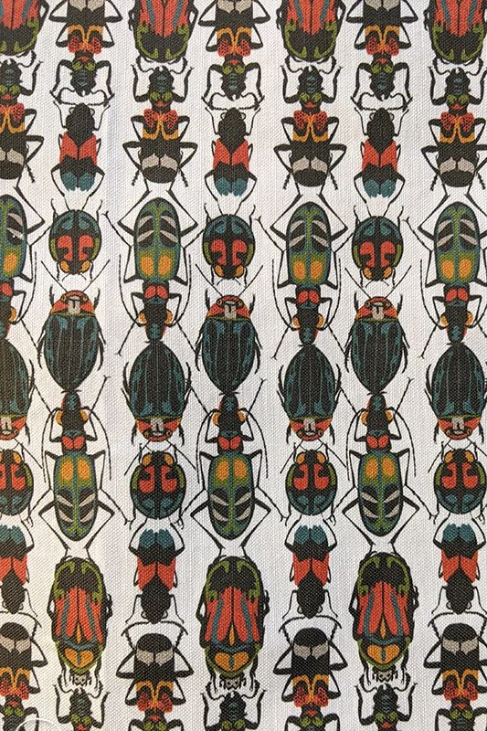 Beetles detail