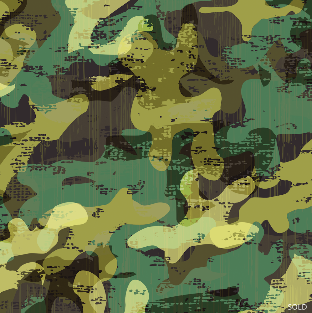 Camo, 2012 (SOLD)