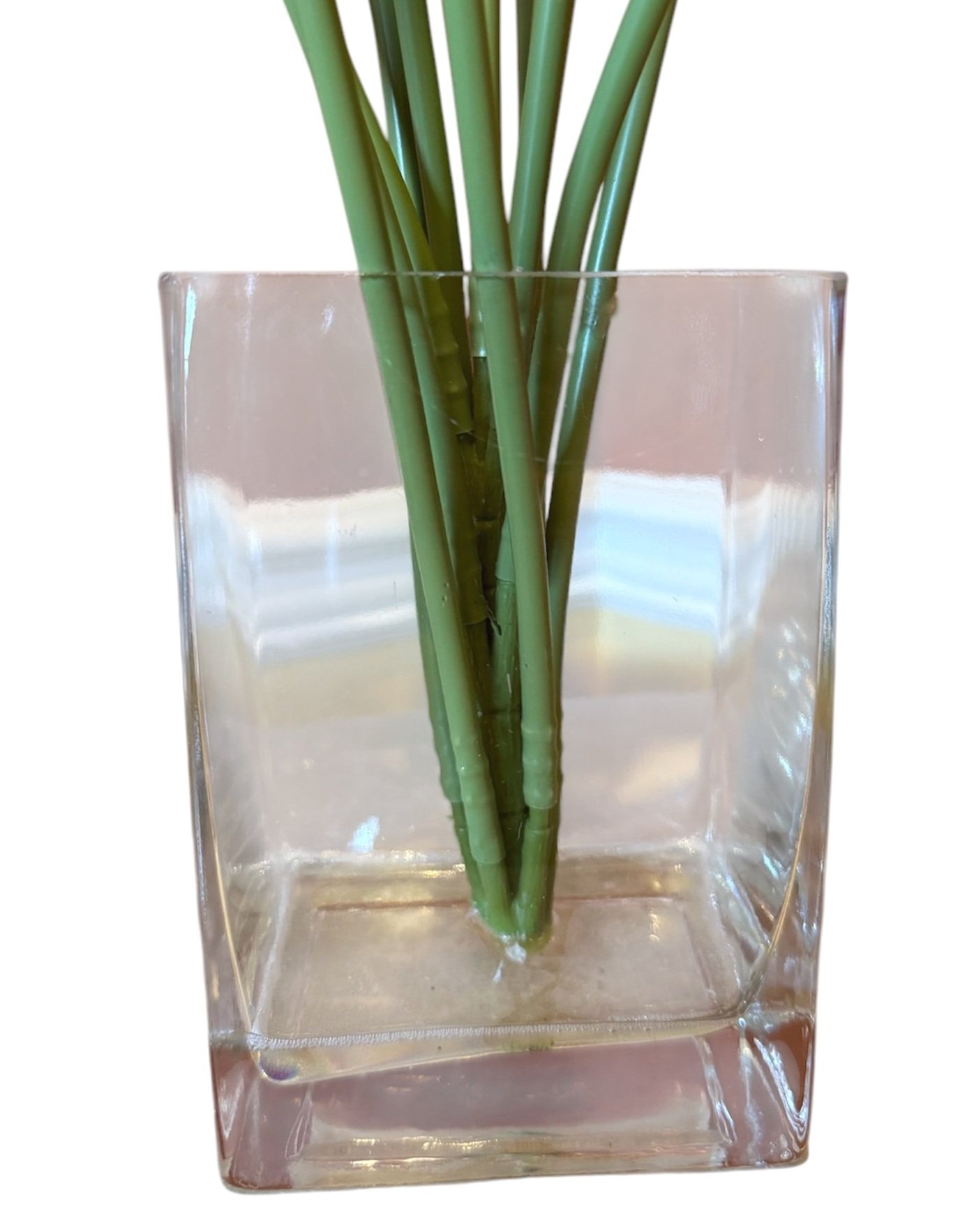 SpringTulips3.jpg