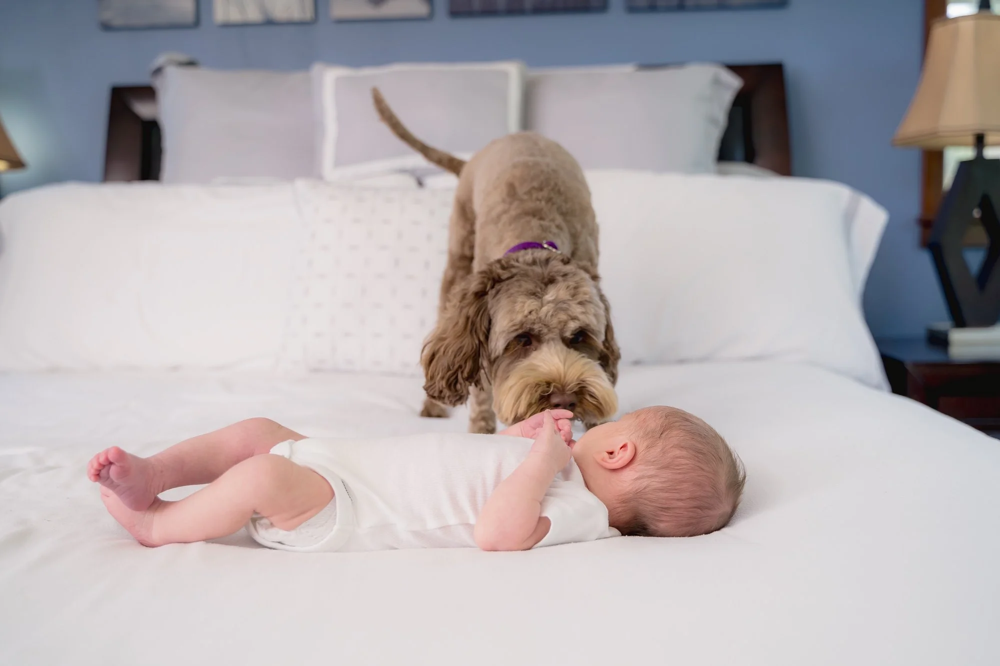 Kent Family Photography-Newborn-In Home - Miller-02264.jpg
