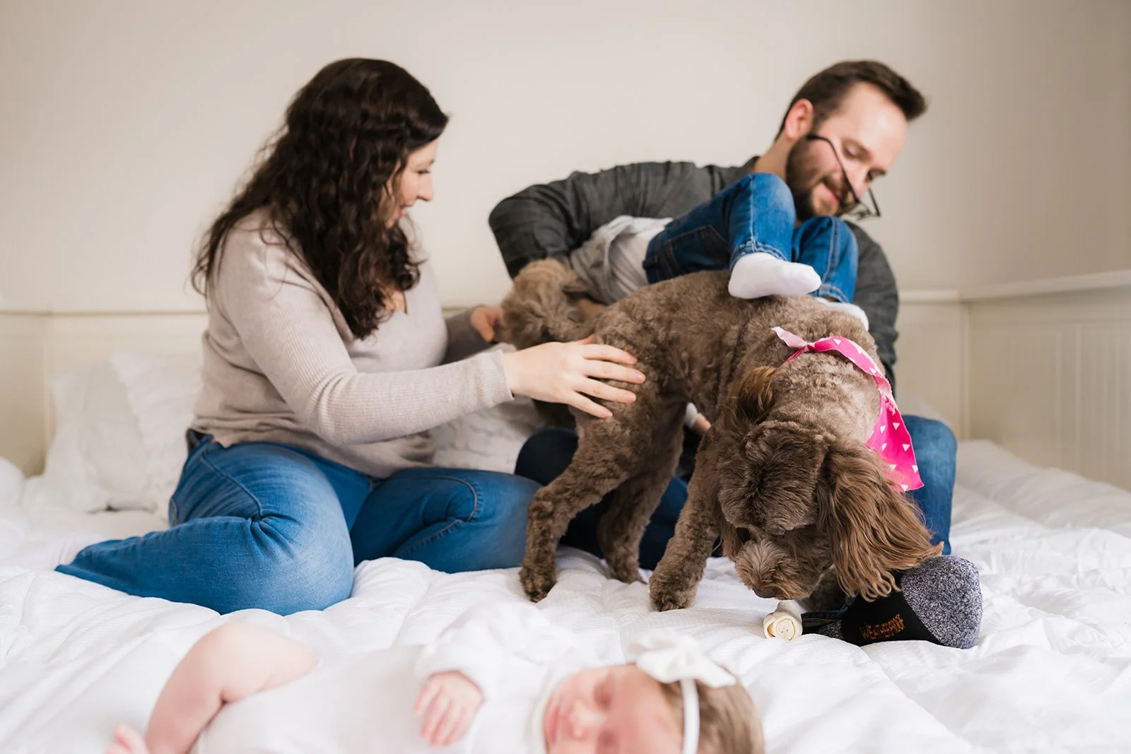 How to Include Pets in Your Family Portrait Session