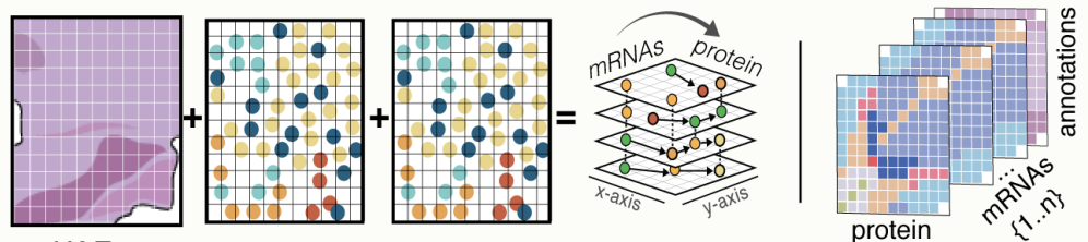 INLAomics for Scalable and Interpretable Spatial Multiomic Data Integration