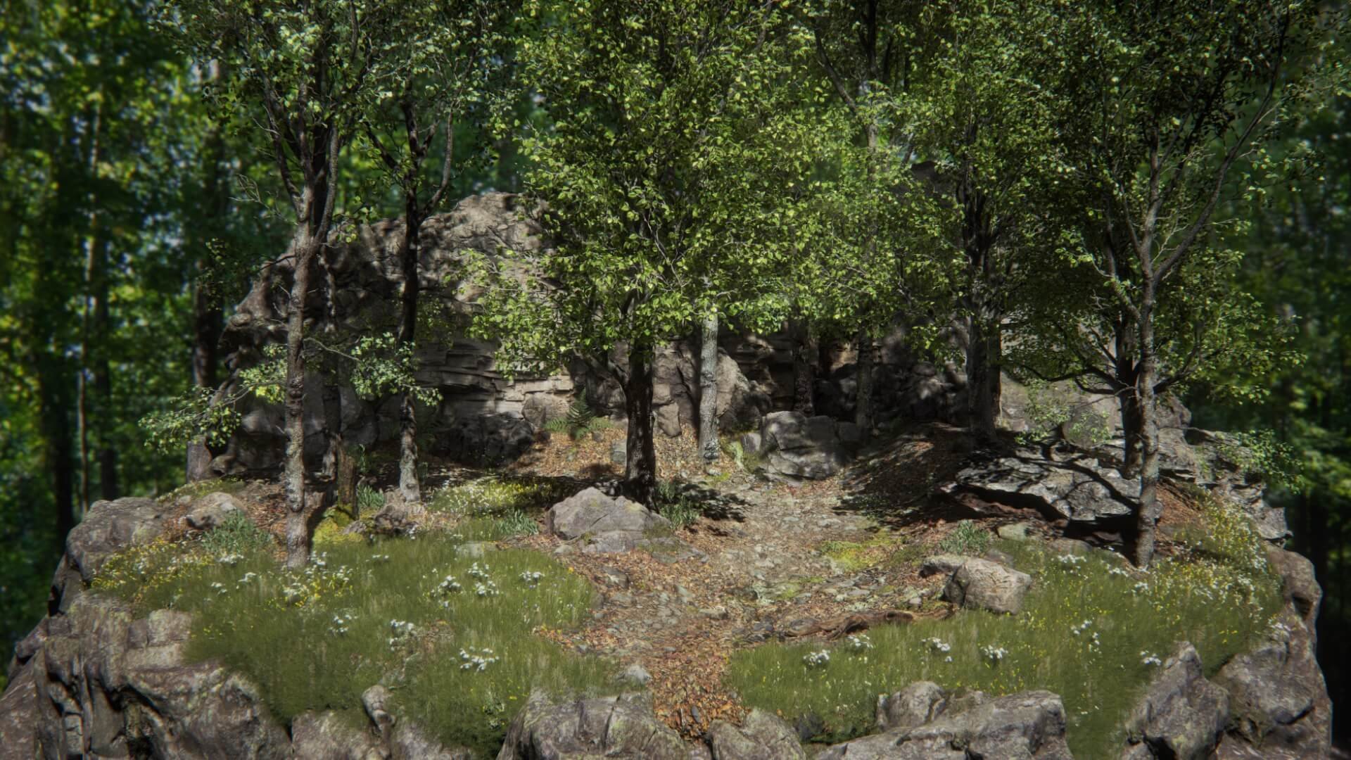 Forest set. Черный лес германия. Forest set. Forest set. Лес unreal engine 5.