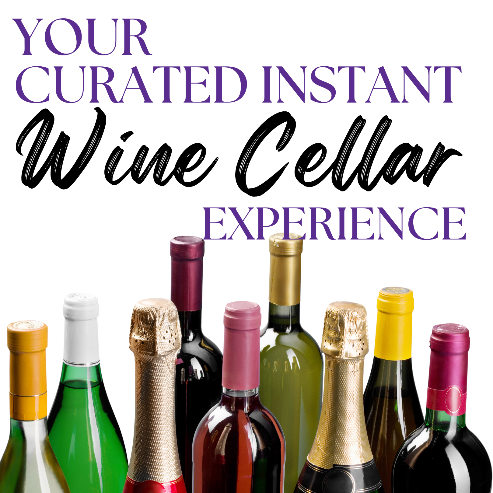 Instant Wine Cellar: Curated Edition