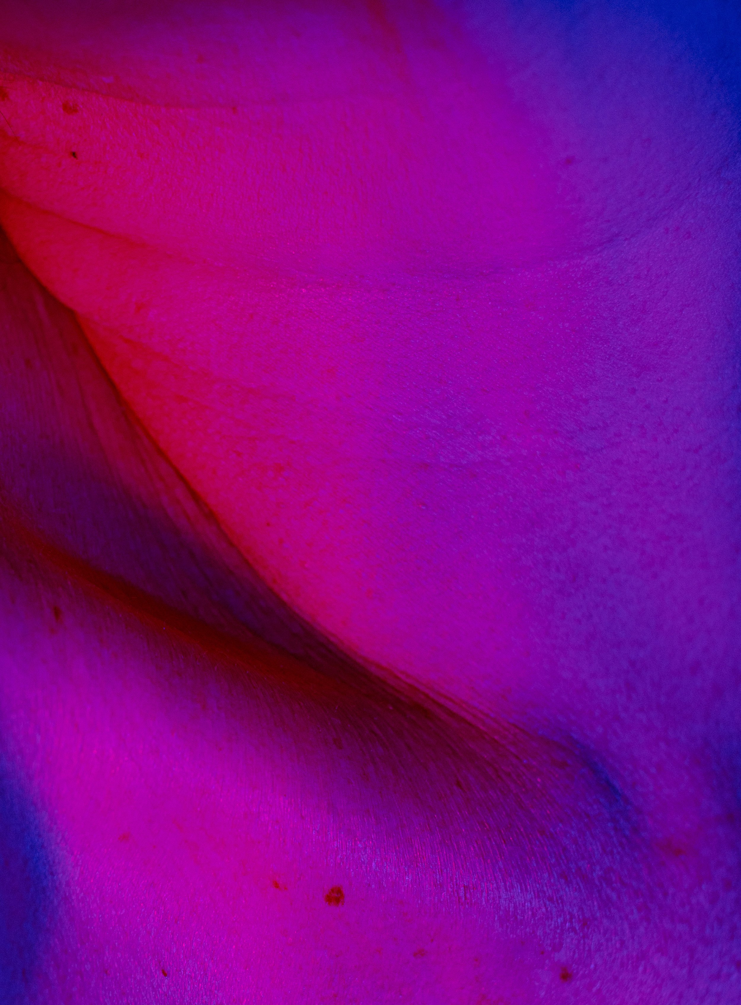 ColorTest-012.jpg
