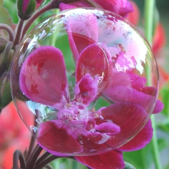 Your Bubble of Reality