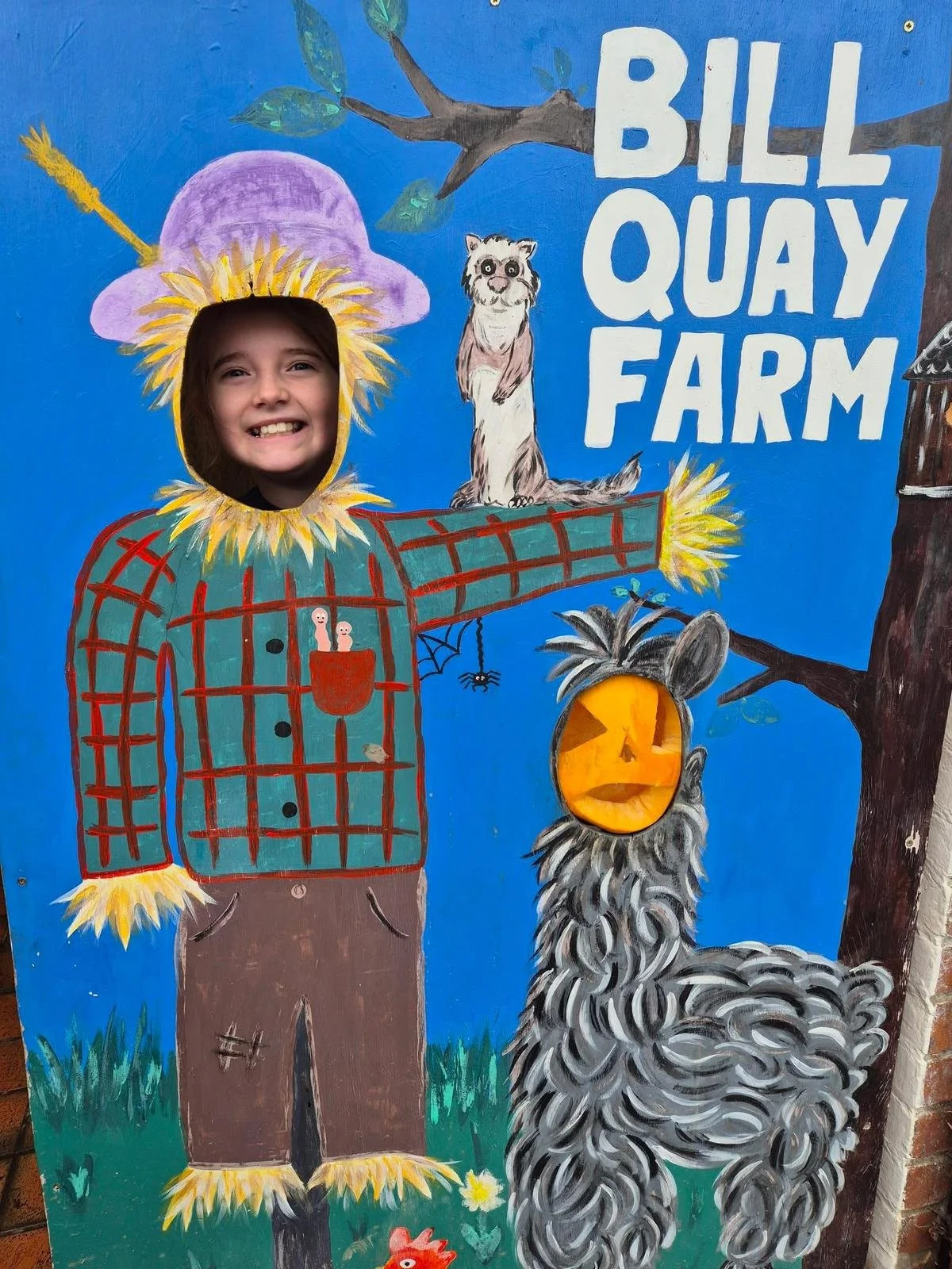 bill quay face stand.jpg